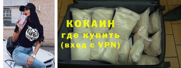 твердый Елизово
