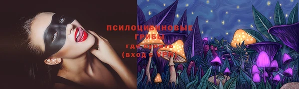 твердый Елизово